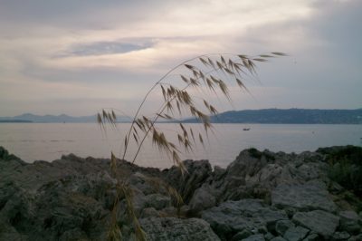 gras antibes